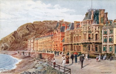 The Promenade, Aberystwyth by Alfred Robert Quinton